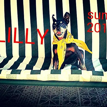 Lupo Gospodarstwo wiejskie Lecce