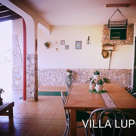 Lupo * Lecce