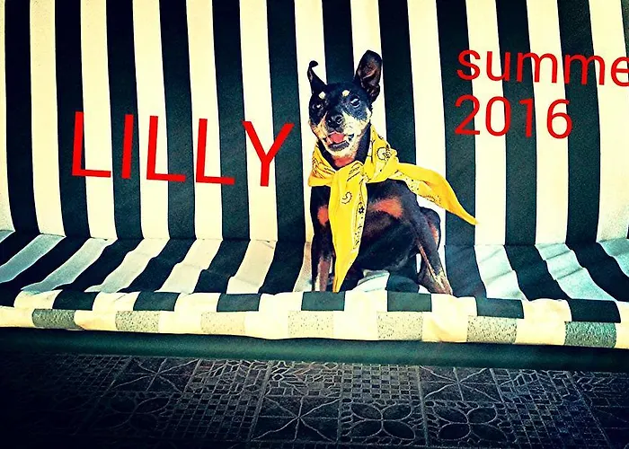 Lupo カントリーハウス レッチェ